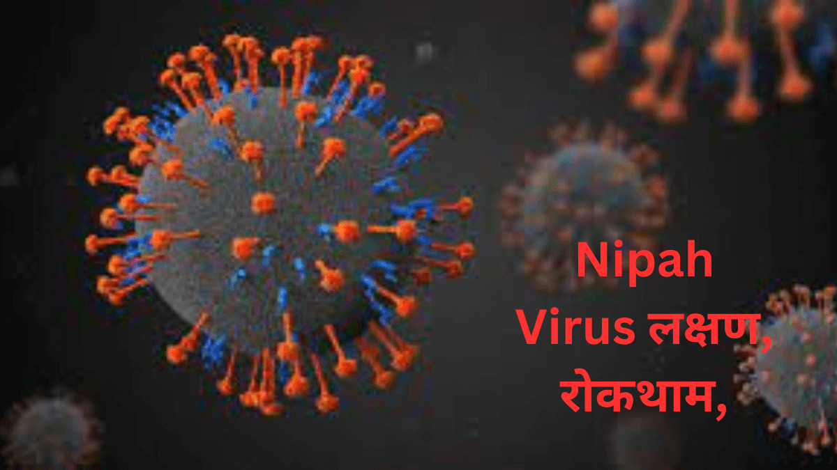 Nipah Virus लक्षण, रोकथाम, प्रभाव, प्रसारण, संक्रमण कारक जाने सब कुछ